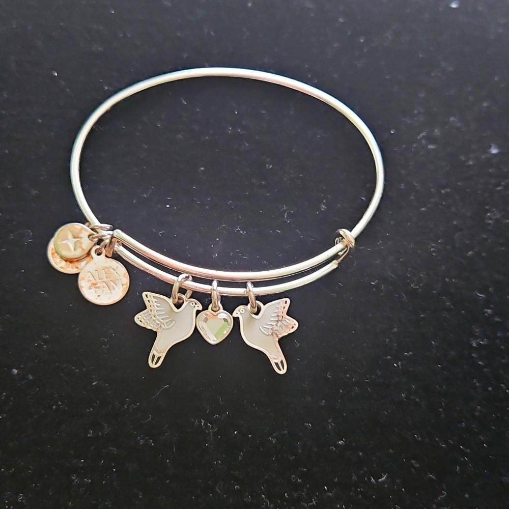 Alex and Ani Silver Charm Bracelet